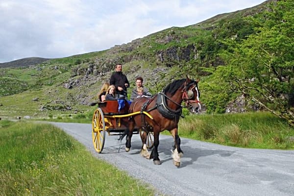 Gap of Dunloe - Jaunting Car